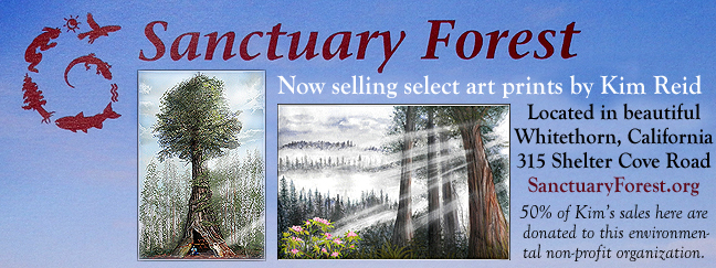Sanctuary Forest Gift Gallery Shop Location
