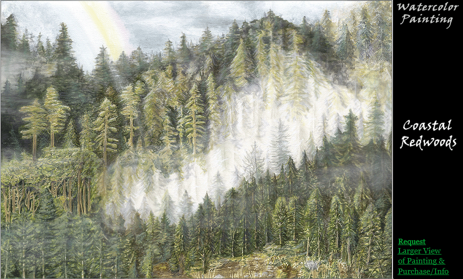 Request Info on Coastal Redwoods Painting