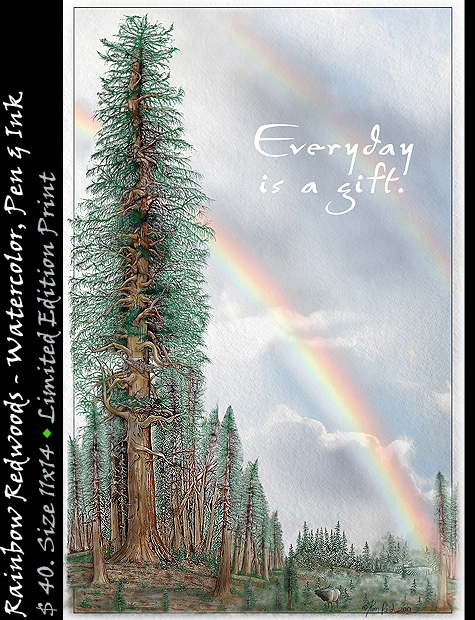 Rainbows over Redwoods