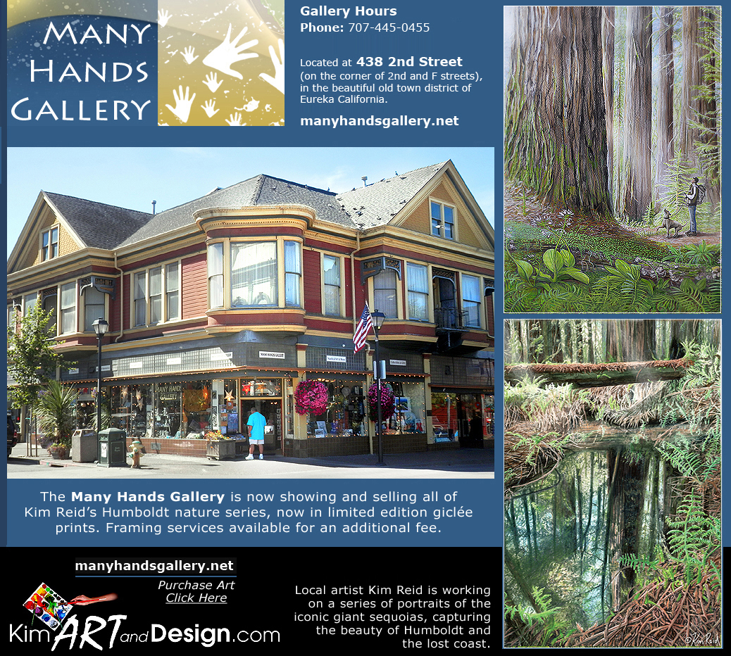 Many-Hands-Gallery-Artist-of-Month