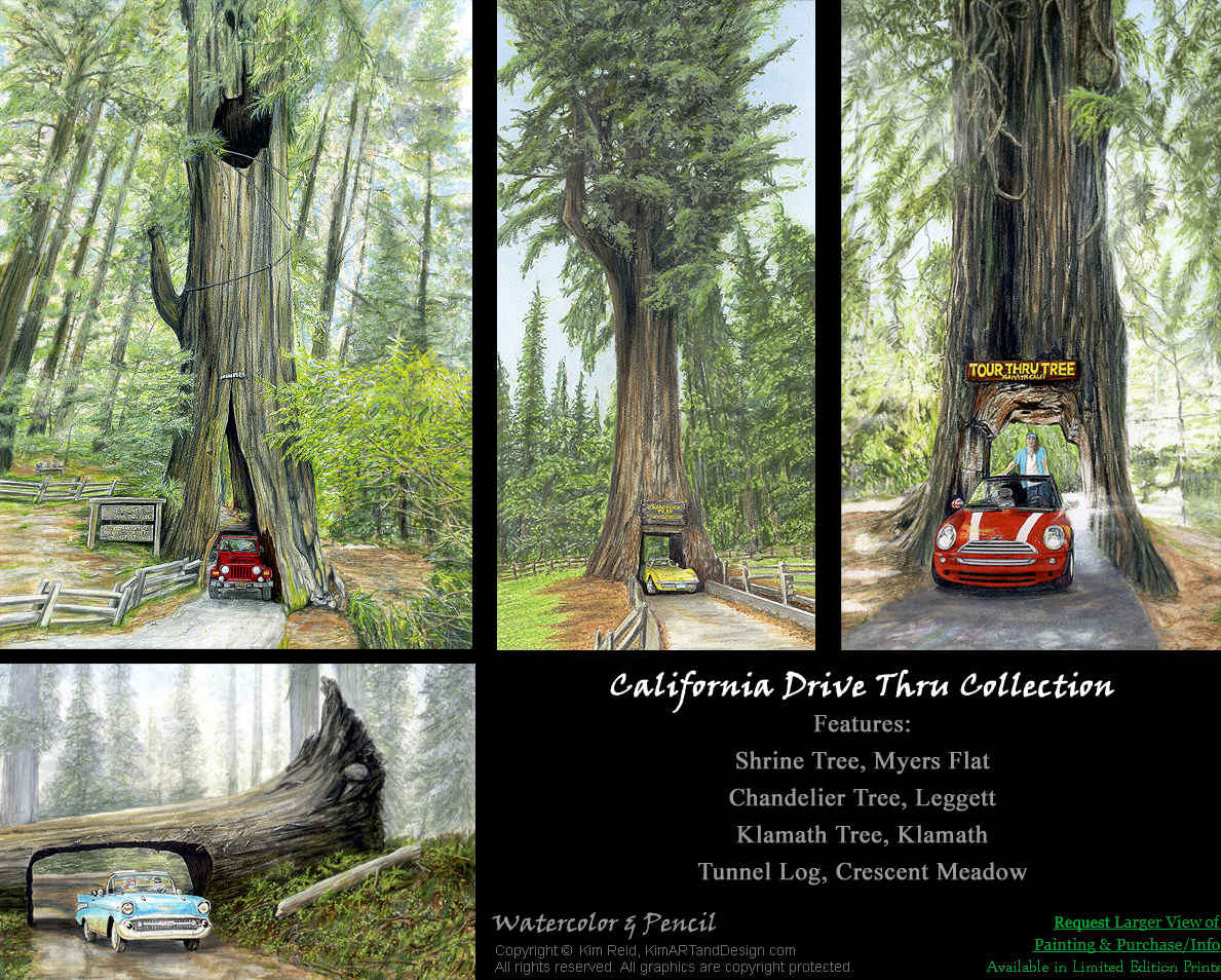 Request Info on this Redwood Drive Thru Tree Collection