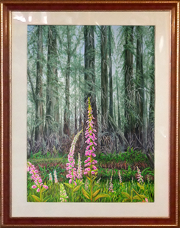 Framed-Humboldt-Foxgloves (752K)