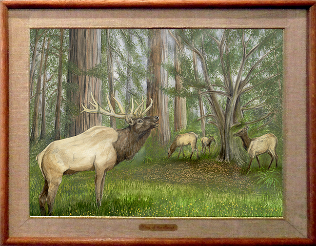 Framed-King-of-the-Forest (480K)