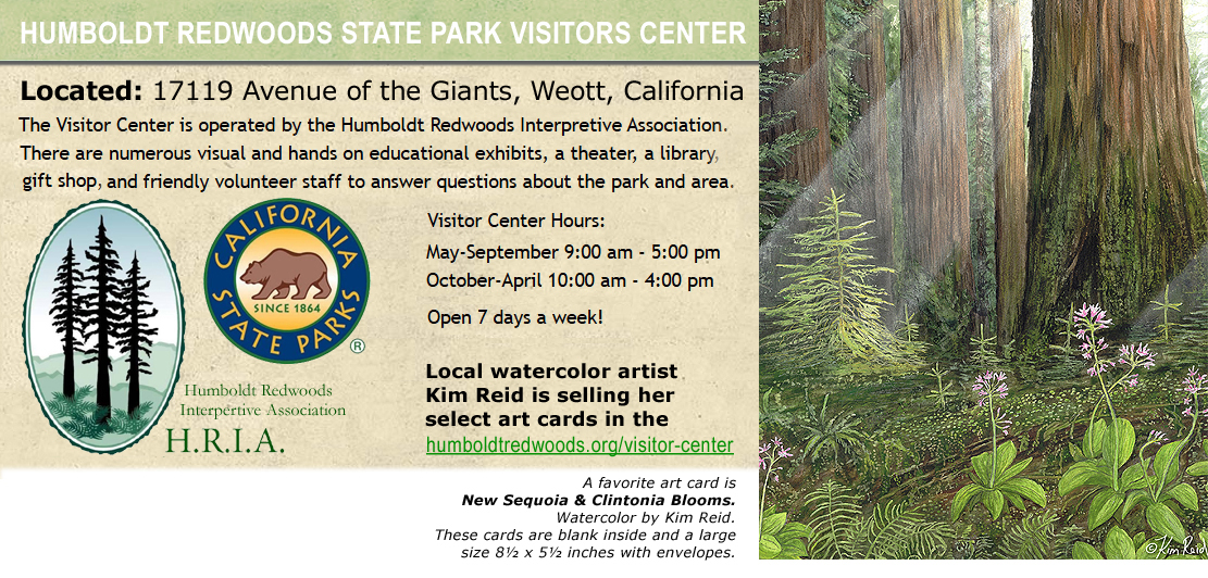 Humboldt Redwoods State Park Visitors Center