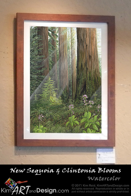 New-Sequoia-Clintonia-Blooms-w-Frame (289K)