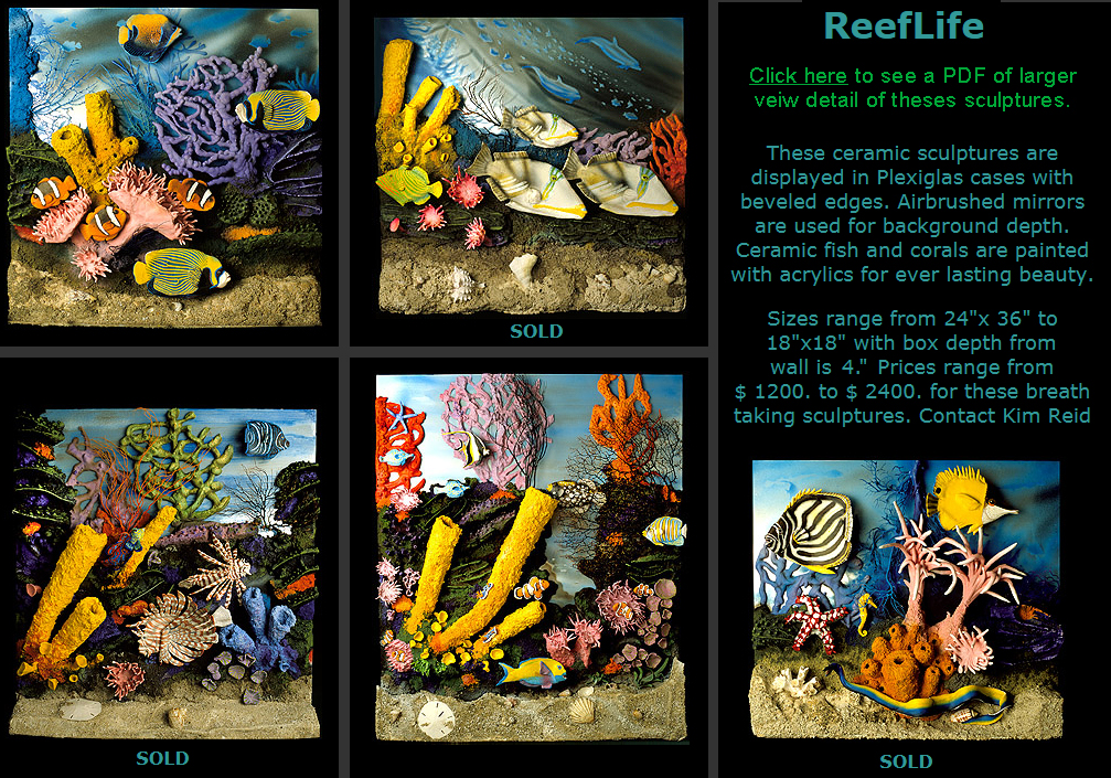 ReefLife Collection and Details