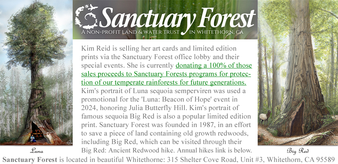 Sanctuary Forest Gifts and Donations