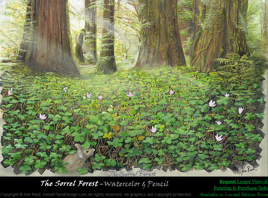 Request Info on The Sorrel Forest Painting. Do you see the wood mouse...