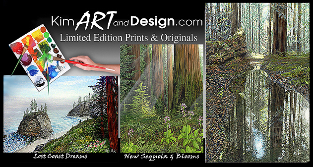 KimARTandDesign.com-Square-Promo (380K)